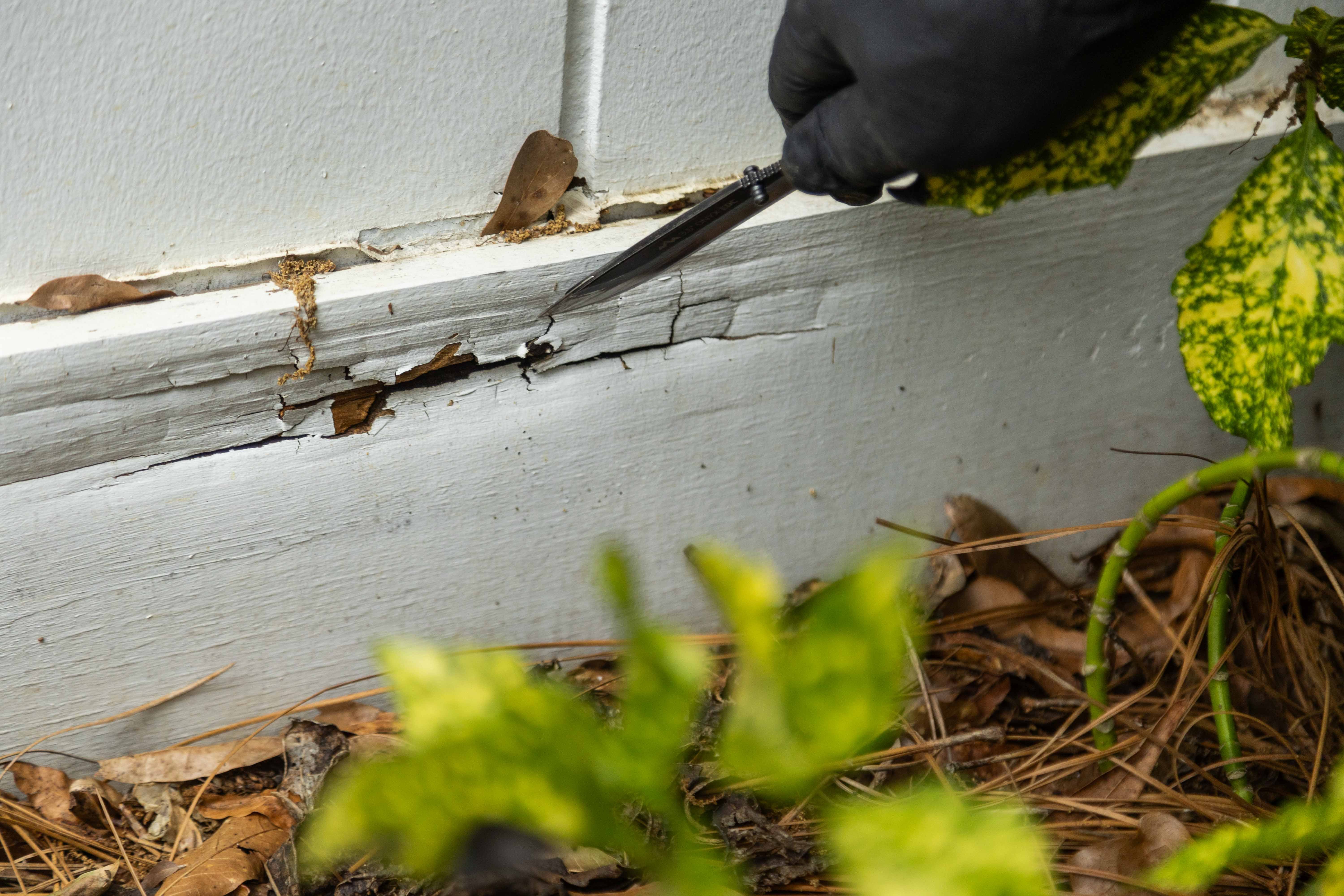 pest control technician clearing out termite damage at the footer of a home