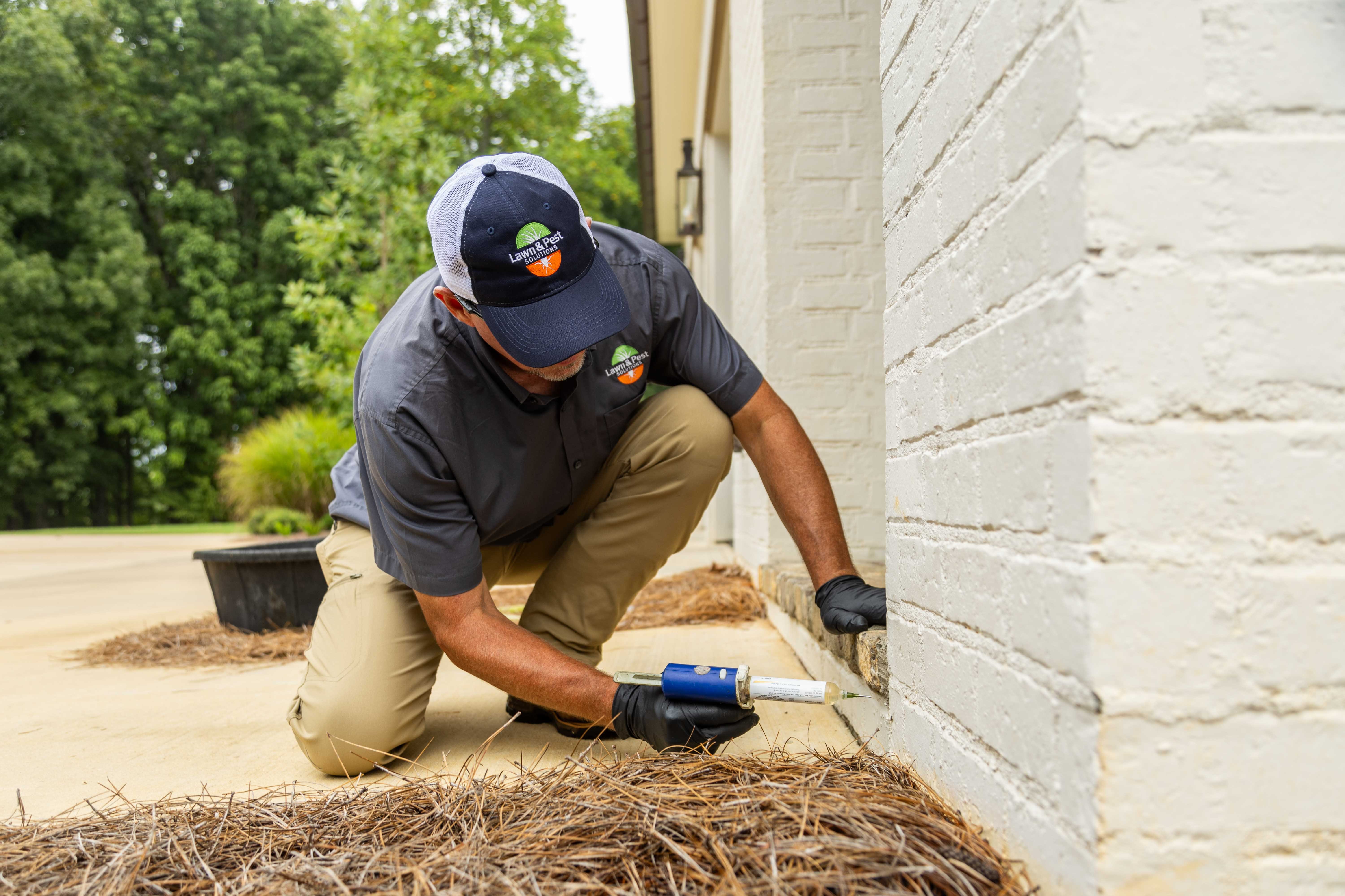 pest control outside exterior ant baiting perimter home technician crew