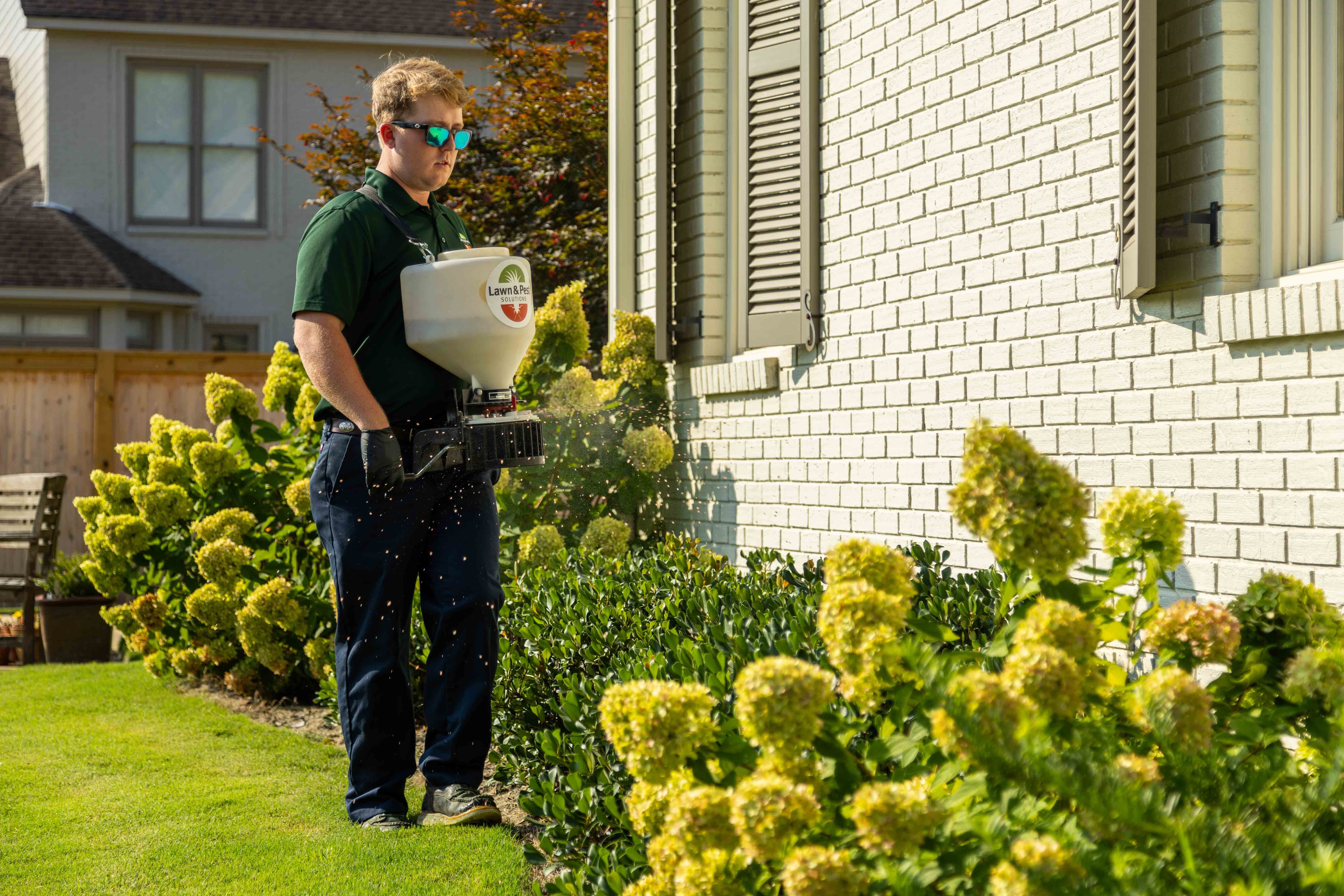 technician plant health care fertilizer spreader grinder shrubs treatment granular beds hydrangea home 2