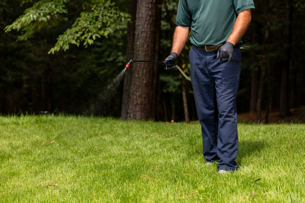 lawn care technician spraying lawn liquid weed control 8