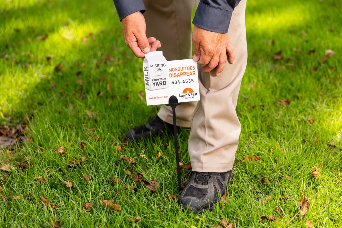 mosquito control pest control technician placing flag in lawn 2