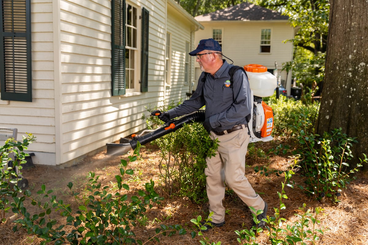 mosquito control pest control technician spraying barrier spray 3