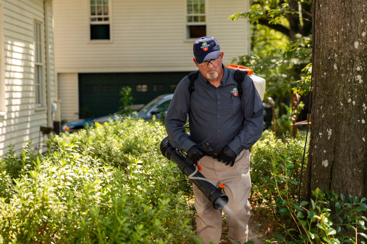 mosquito control pest control technician spraying barrier spray