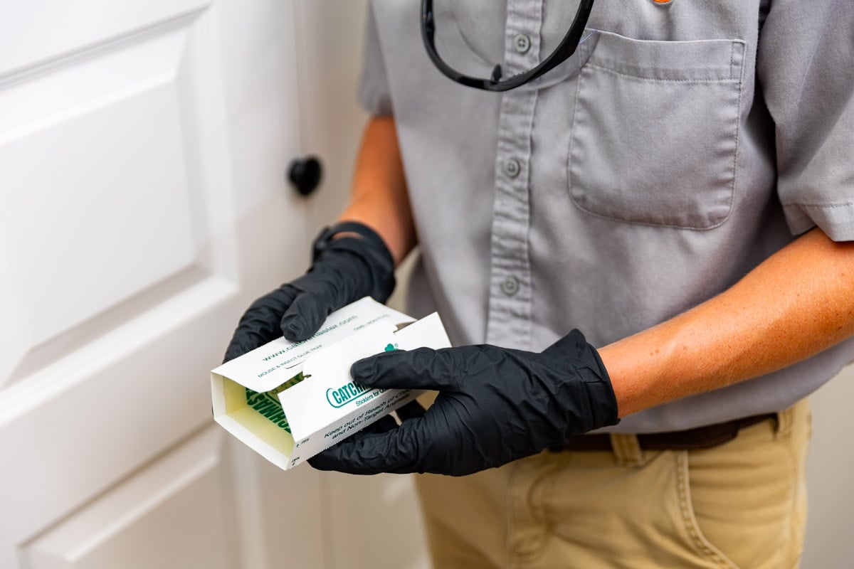 pest control technician setting rodent traps and baits