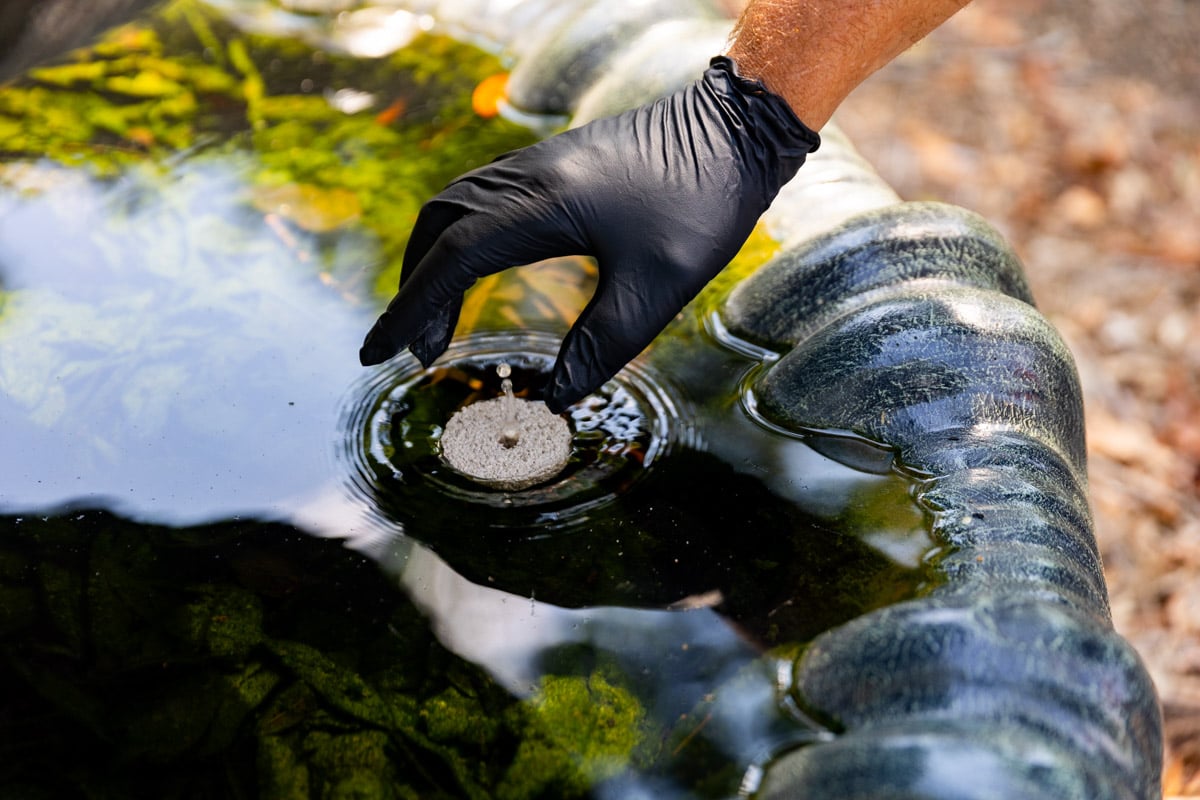 pest control technician placing mosquito control in water 2