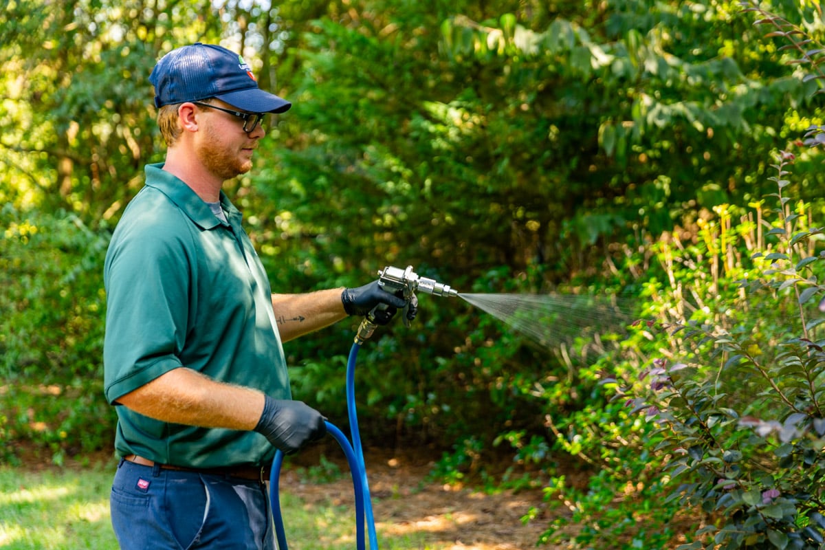 plant health care technician shrub spray 10