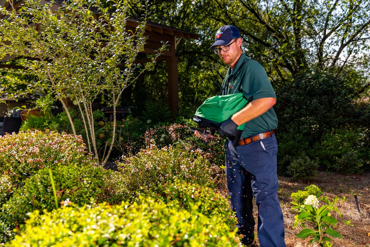 plant health care technician shrub treatment granular 3