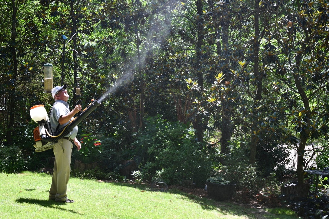 pest control technician spraying mosquito fogger in trees