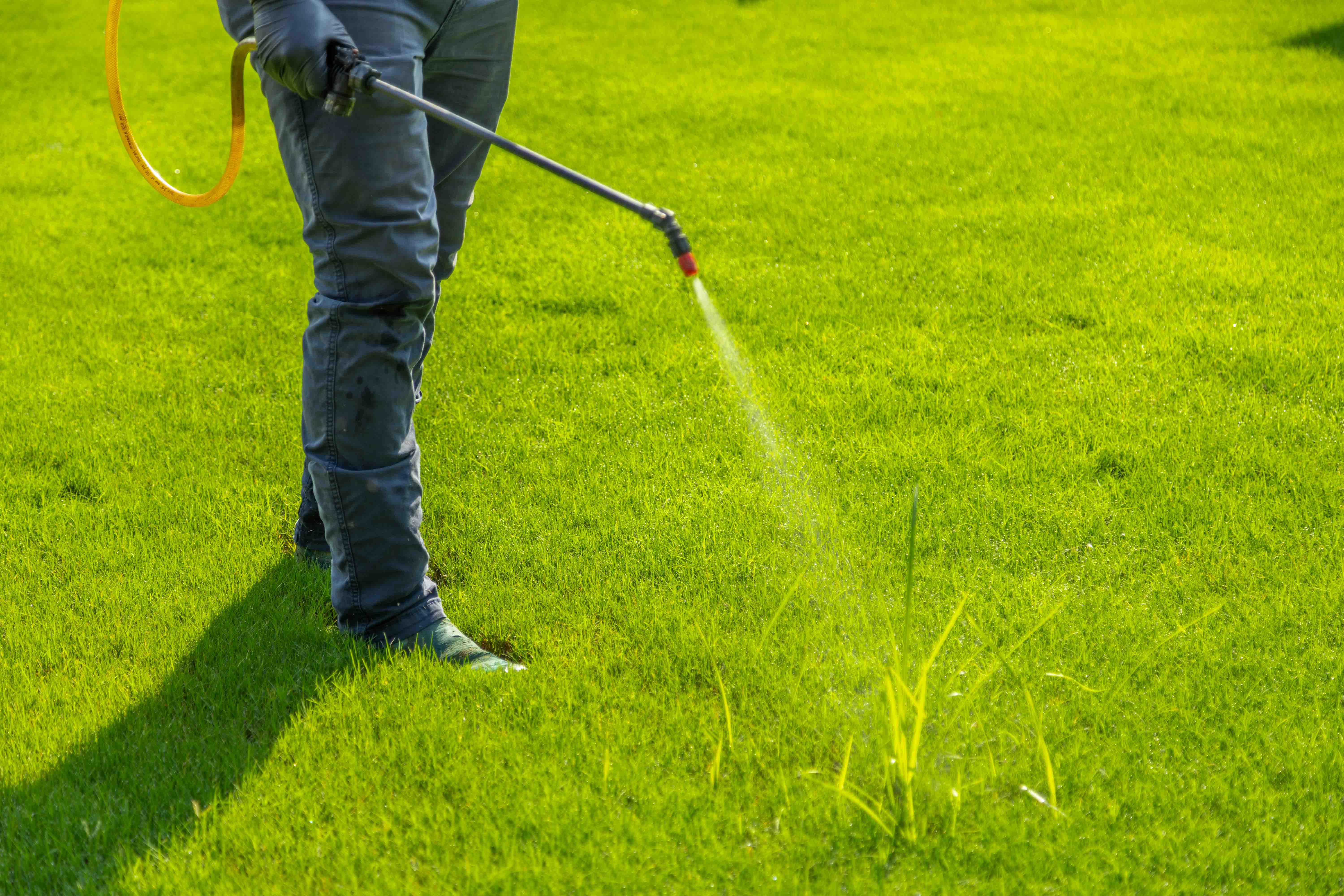 lawn care truck technician crew spot treatment weeds backpack spray hose action detail