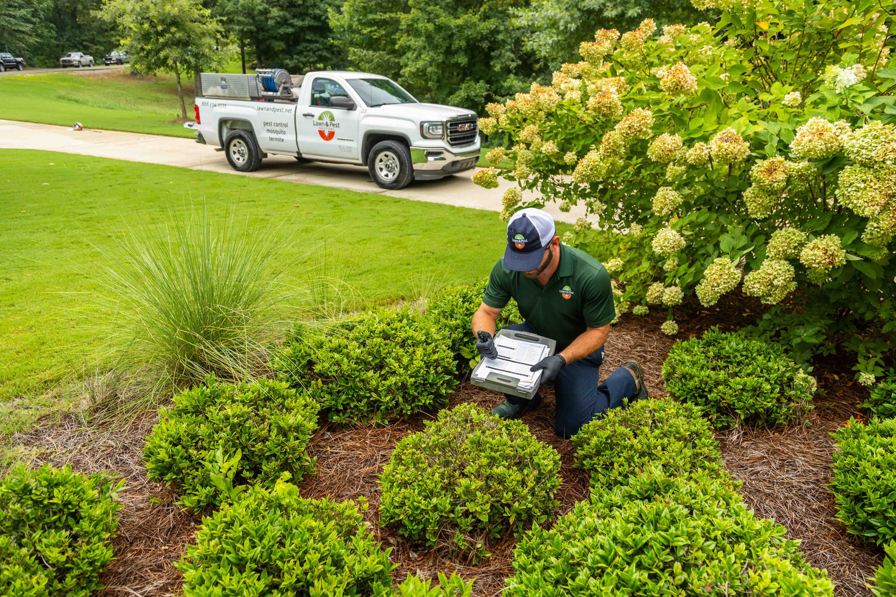 plant health care technician inspection truck shrubs 3-1