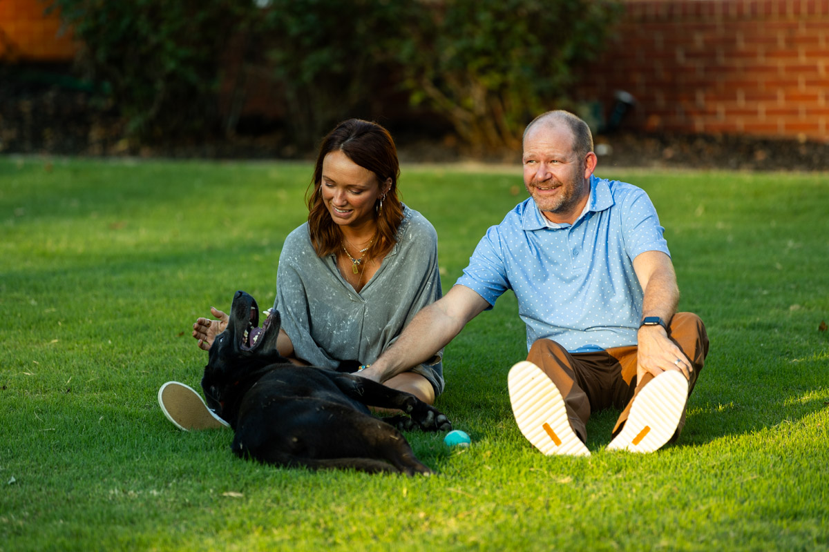 lawn care customers dog in lawn nice lawn