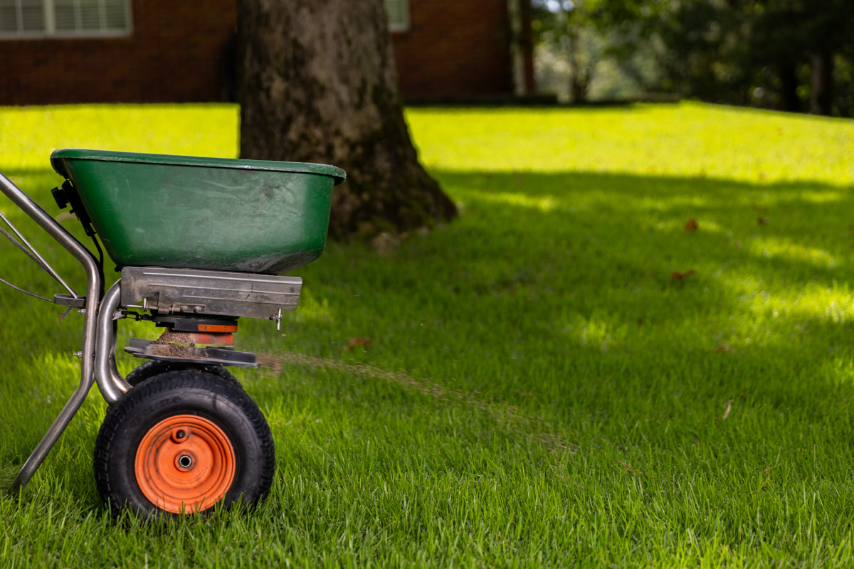 lawn care technician with granular spreader in lawn 2