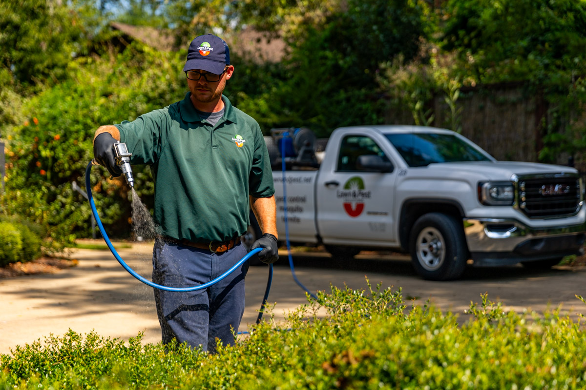 plant health care technician shrub spray 5